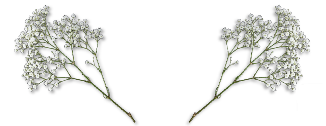 Kwiatki